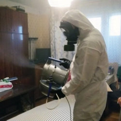 Дезинфекция от клопов в Островцах