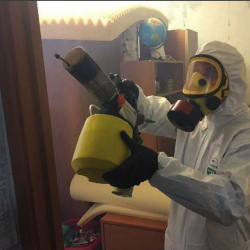 Уничтожение клопов в квартире. Островцы